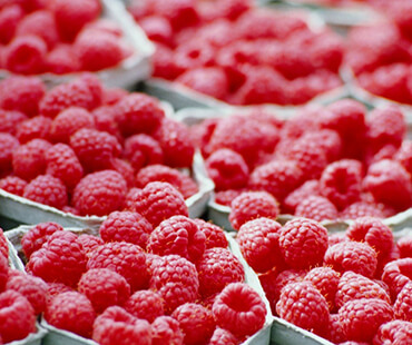 berries